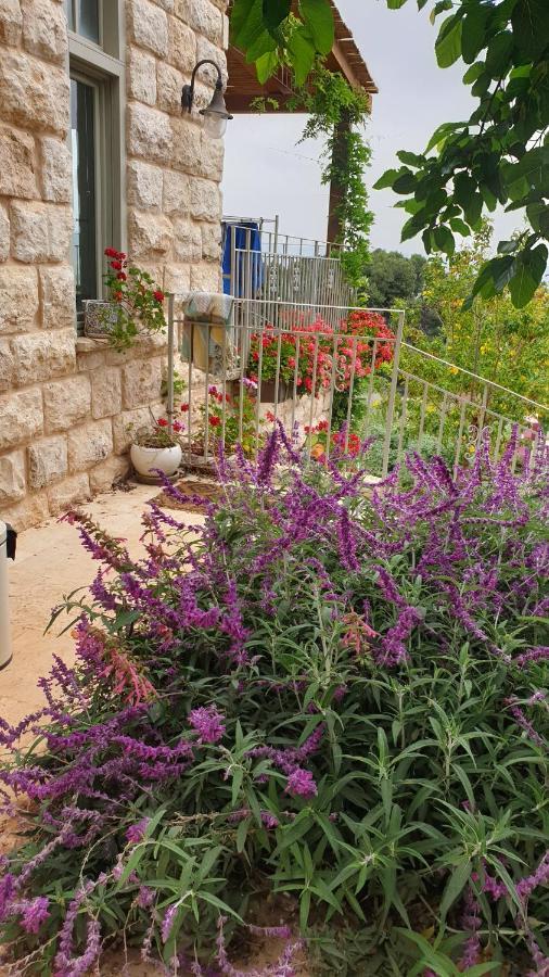 הבית של סתיו Rosh Pinna Ngoại thất bức ảnh