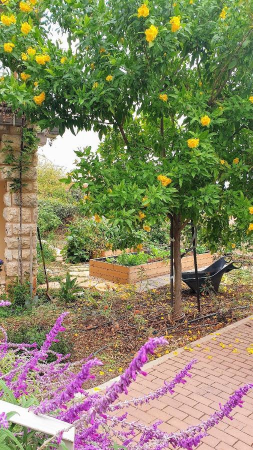 הבית של סתיו Rosh Pinna Ngoại thất bức ảnh