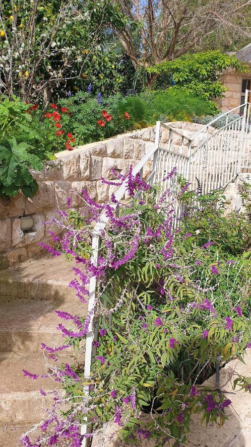 הבית של סתיו Rosh Pinna Ngoại thất bức ảnh